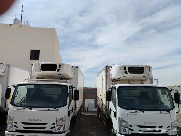 إيجار دينات 23 و24 سوبر جامبو تبريد وتجميد للمؤسسات والشركات 0