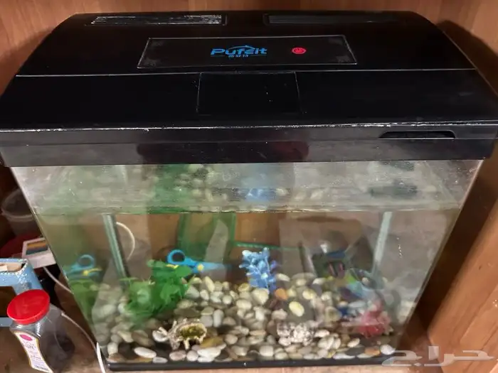 للبيع حوض سمك مع العصا 2