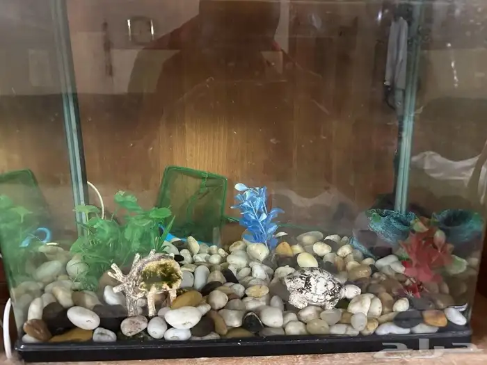 للبيع حوض سمك مع العصا 3