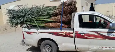 يوجد لدينا جميع انواع انخيل 5