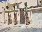 نخل لبيع واشنطونيا زينه ونخيل عربي مثمر 14