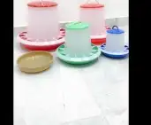 عناقيد الدخن الفرنسي. للجميع انواع الطيور 11