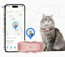 GPS أجهزة تتبع 4