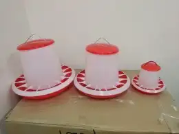 عناقيد الدخن الفرنسي. للجميع انواع الطيور 7