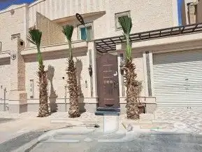 نخل لبيع واشنطونيا زينه ونخيل عربي مثمر 17