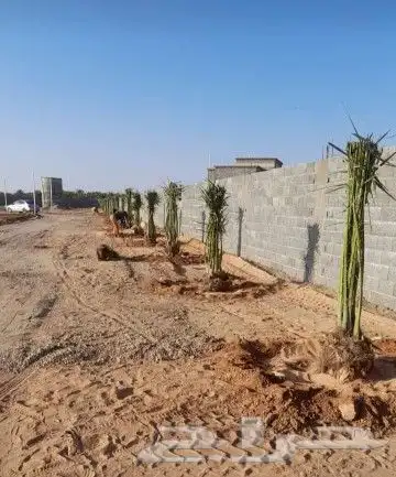 يوجد لدينا جميع انواع انخيل 3