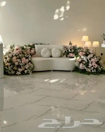 كوشات خميس مشيط واضواحيها 3