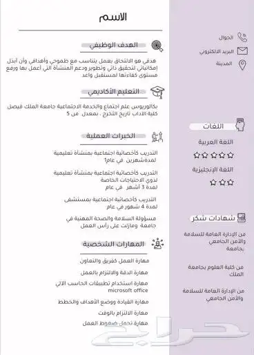 سيره ذاتيه سريعه احترافيه سعر رمزي 3