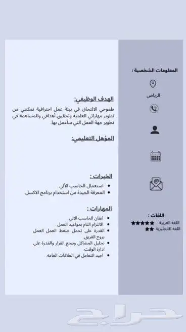 سيره ذاتيه سريعه احترافيه سعر رمزي 2