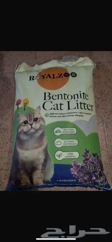 عناقيد الدخن الفرنسي. للجميع انواع الطيور 1