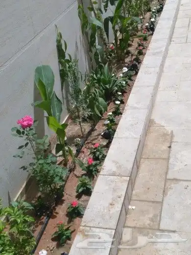 تنسيق حدائق جدة و مكه و بحره 11