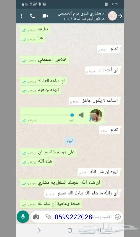 معلم مشويات محترف تحت الطلب لحفلات الشوي 13