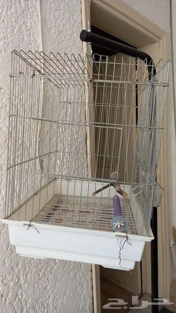 قفص قطط وكلاب وقفص طيور مع استاند دائري 1