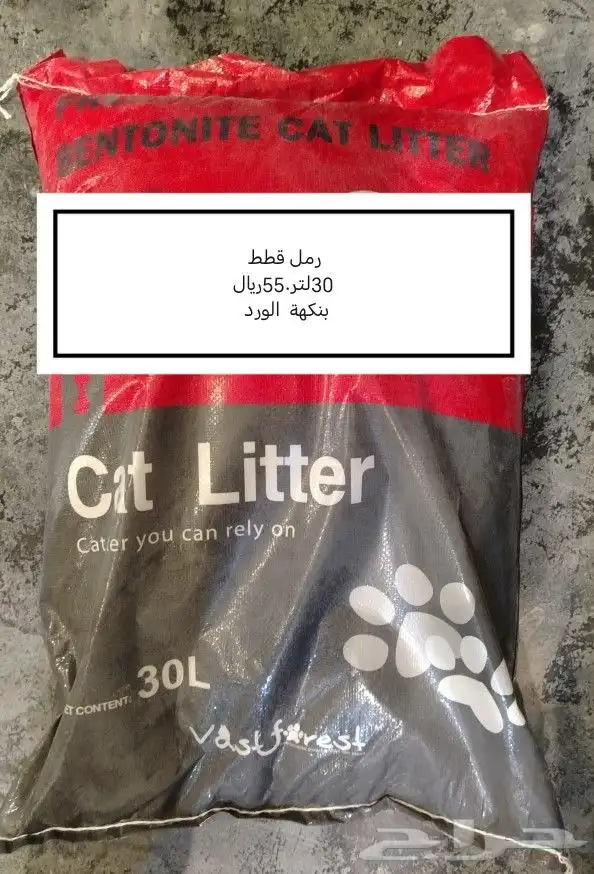 عناقيد الدخن الفرنسي. للجميع انواع الطيور 2