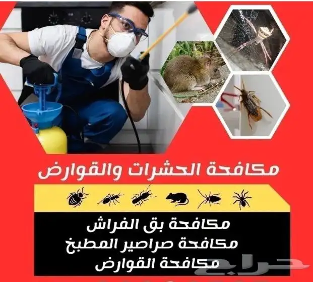مكافحة الحشرات ورش المبيدات بالرياض 11
