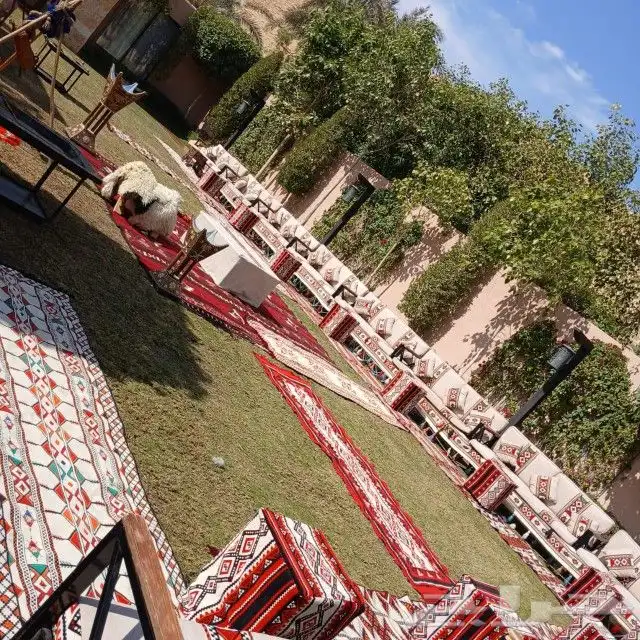 تاجير قهوجين وصبابين رجال ونساء كنب وكراسي زل طاولات ومضلات 8