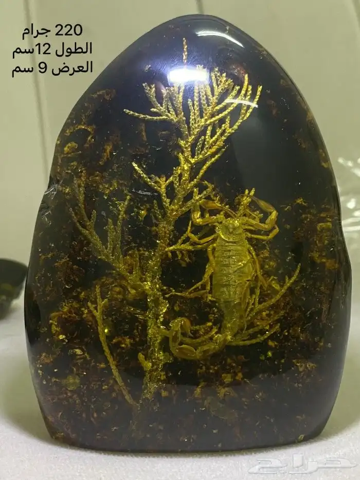مجسمات ديكورية عقرب ونبته. 5