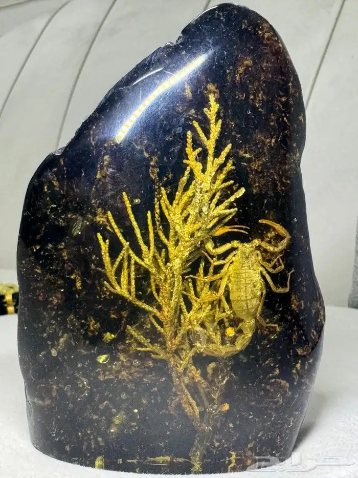 مجسمات ديكورية عقرب ونبته. 0