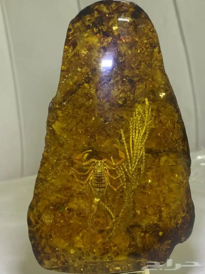 مجسمات ديكورية عقرب ونبته. 1