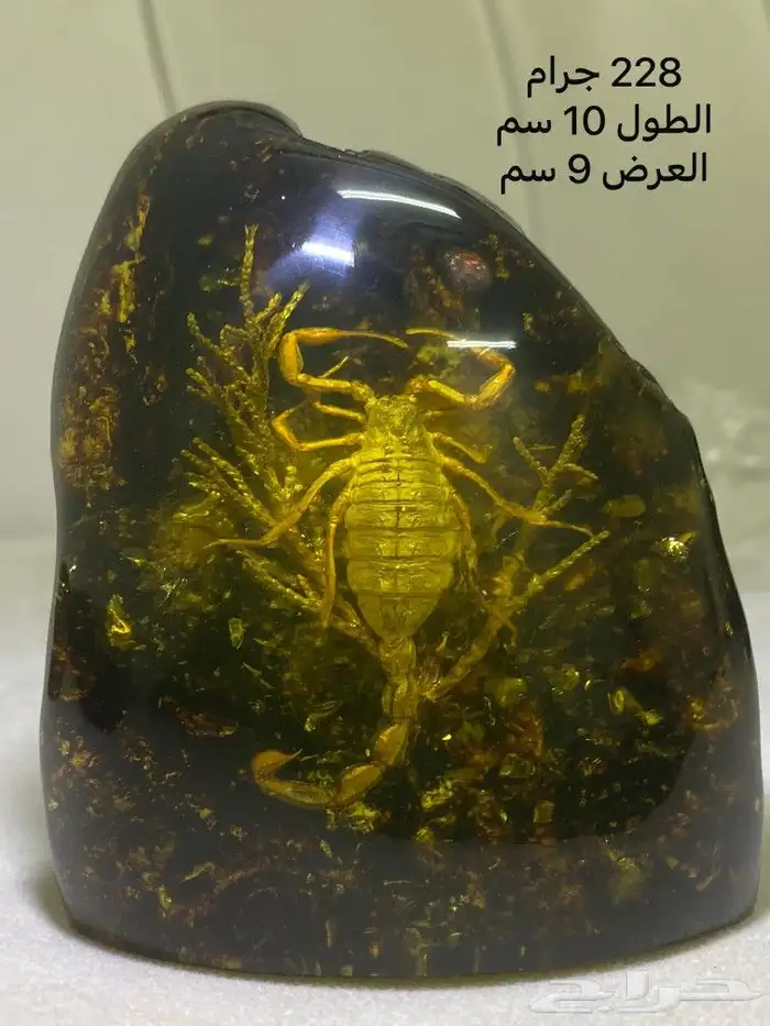 مجسمات ديكورية عقرب ونبته. 9