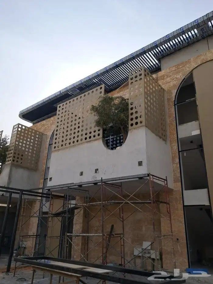 زيتون مثمر نيبالي واسباني ونخيل عربي واشنطني 4