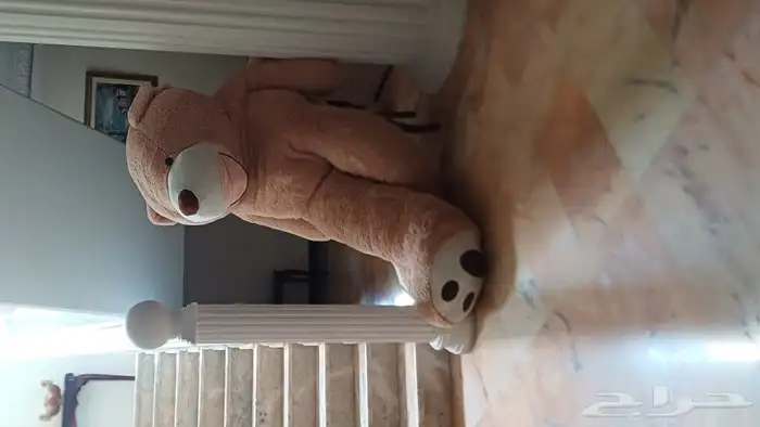 كما في الصوره دميه بطول المترين 1