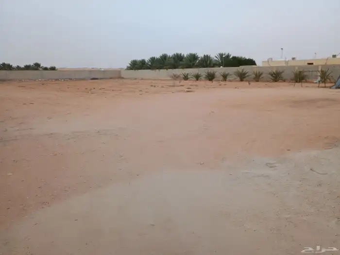 مزرعة للايجار 6000 متر في المزاحمية 3