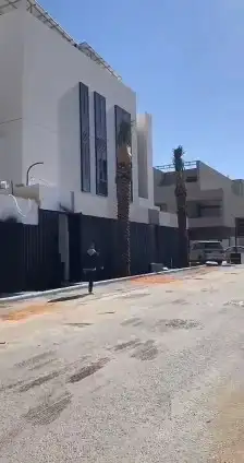 نخيل للبيع عربي واشنطني جده مكه المكرمه الطايف 0