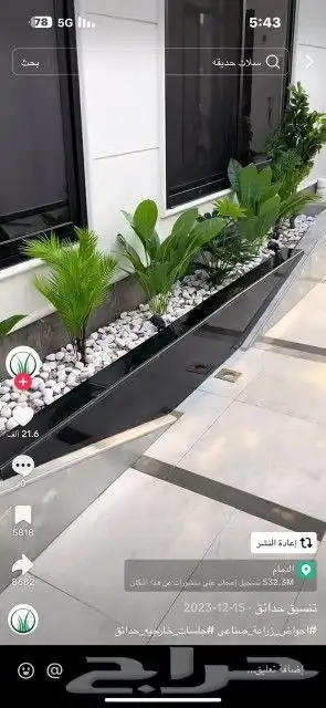 تنسيق حدائق وشبكات ري وقص الأشجار المثمره و ترتيب الشجر الزي 27