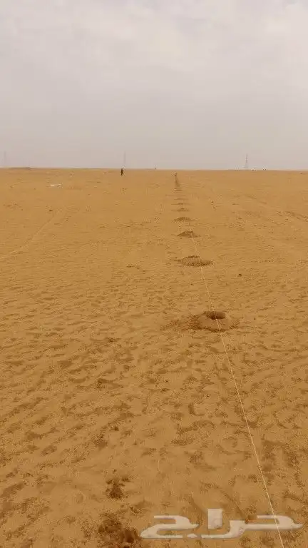 مقاول شبوك ونخيل 1