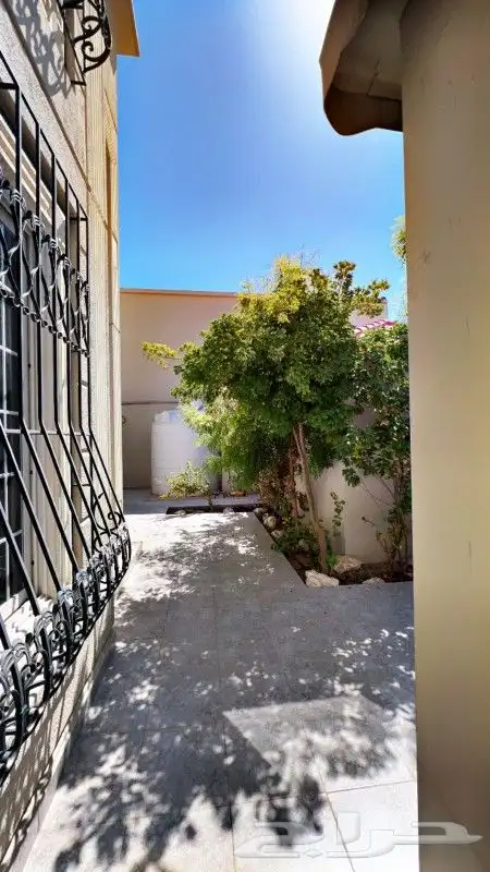فله للبيع 1