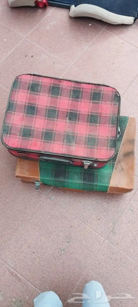 قديمك نديمك 5