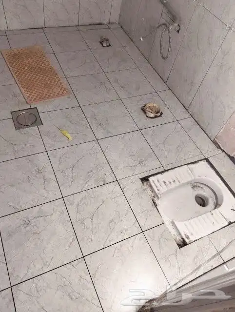 مبلط بلاط  شاني عبدالمجيد 4