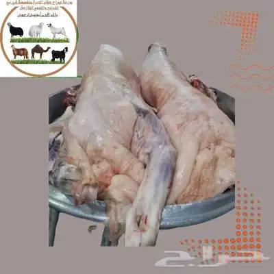 مزرعة ومراح حلال الديرة لبيع الذبايح مع خدمة الذبح والتوصيل 3