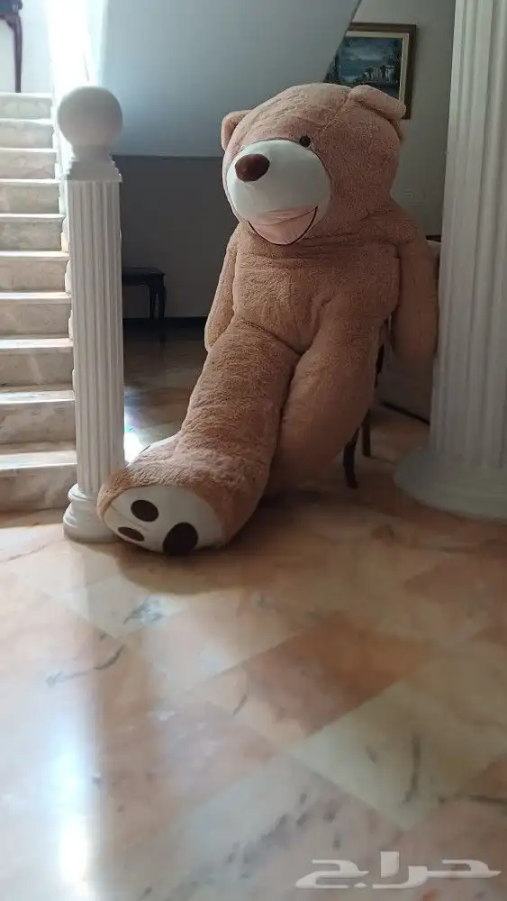 كما في الصوره دميه بطول المترين 0