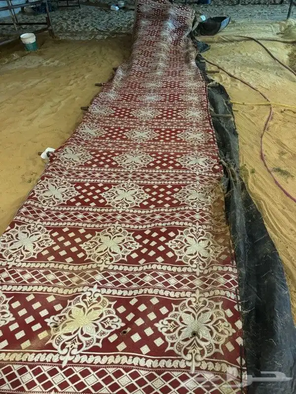مشالله تبارك الله الزين موجود اليوم 1