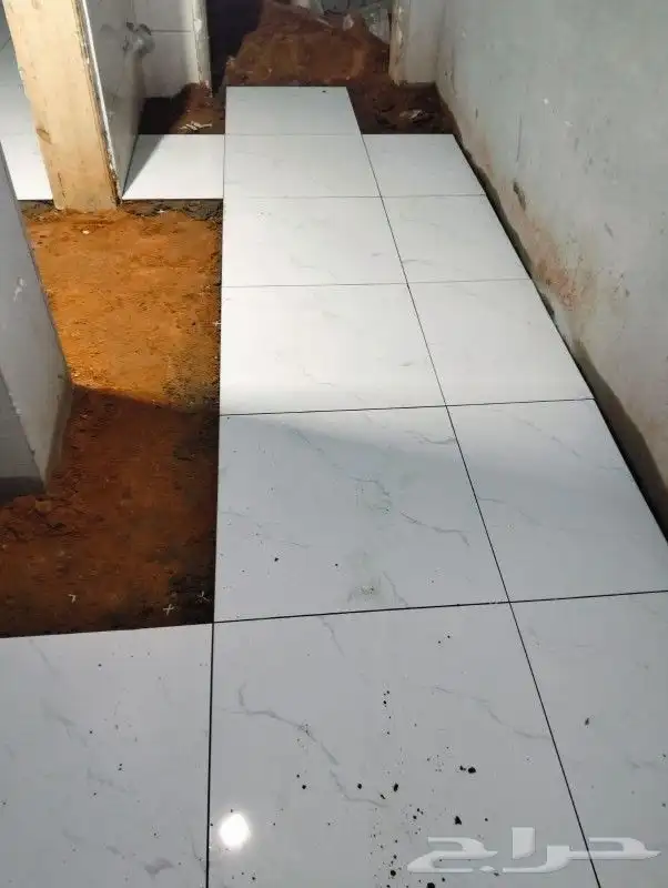 مبلط بلاط  شاني عبدالمجيد 1