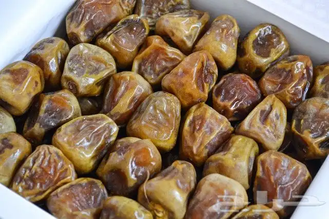 تمر سكري فاخر طراوة ولذاذة لا تفوتك 1