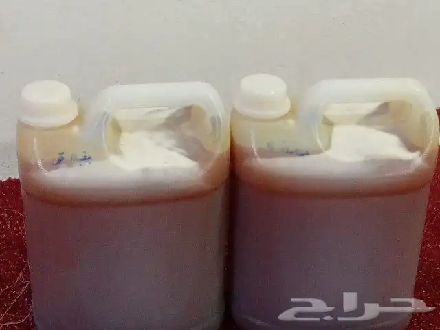 عسل سدر قطف هذا العام وشي فاخر من الآخر وعسل مشروط الكيلو200 4