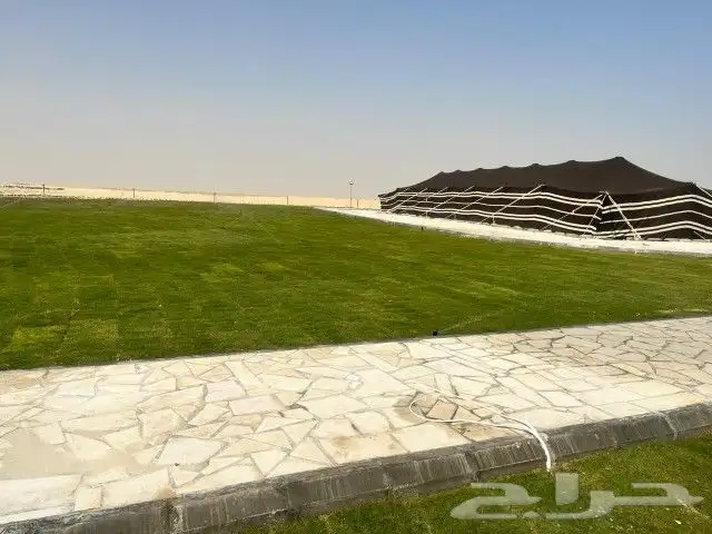 مشتل الشريف 7
