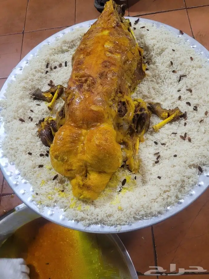 ذبيحتك حري فاخر لباب بيتك وسواكني مربى 8