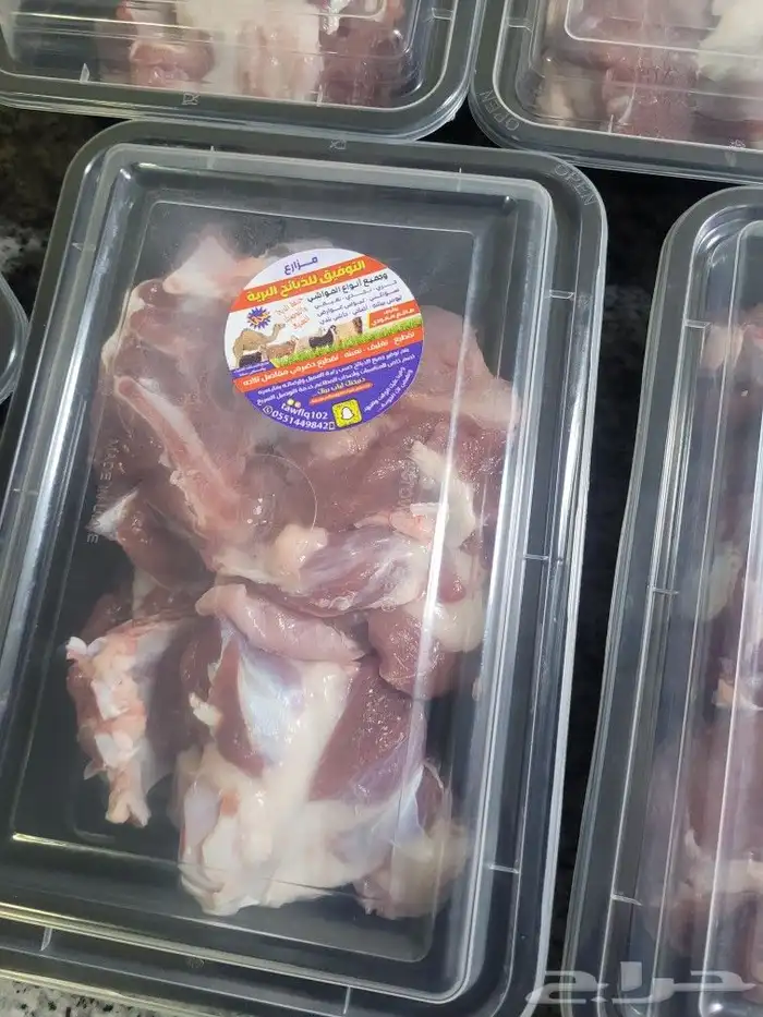 ذبيحتك حري فاخر لباب بيتك وسواكني مربى 20