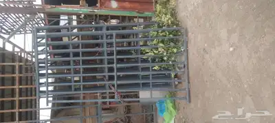 شبوك غنم وشبوك ابل للبيع 0