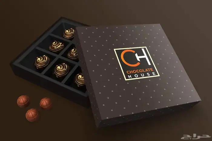 تصاميم احترافية 13