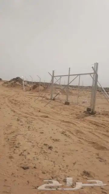 مؤسسة شبوك وشايك الجنوب 3