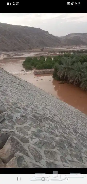 مقاول حجر وربراب وقص الأراضي 1