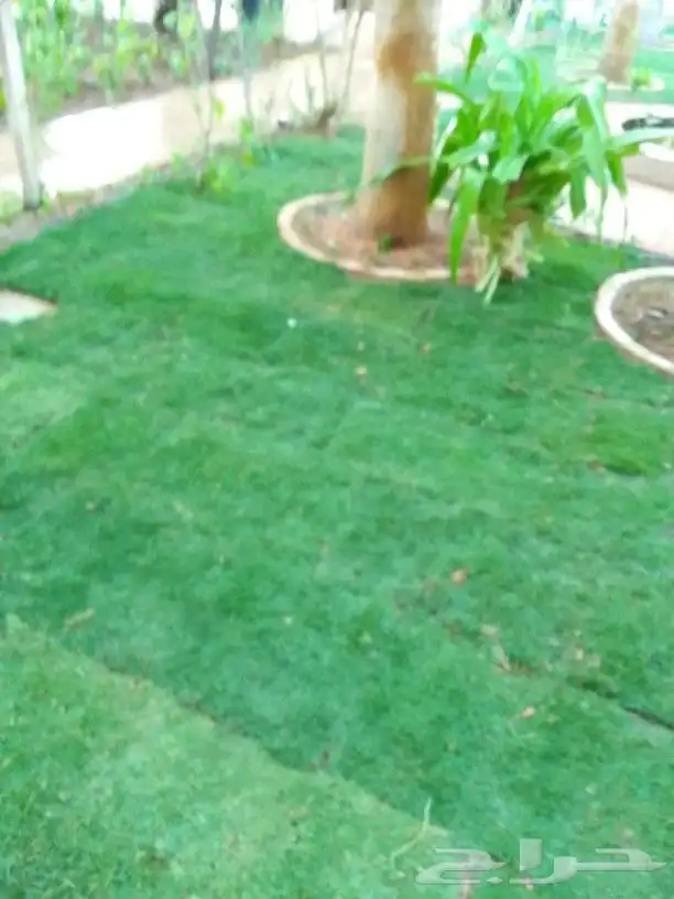 تنسيق حدائق 2