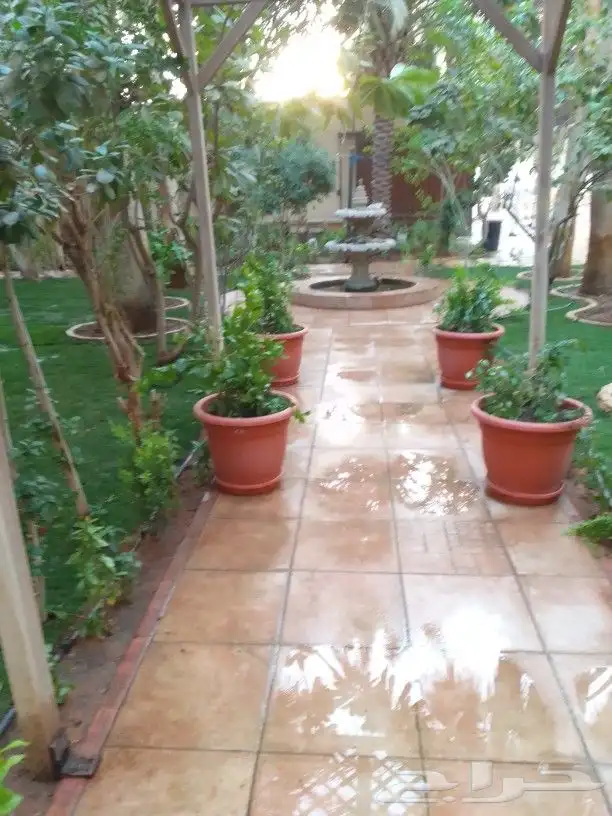 تنسيق حدائق 6