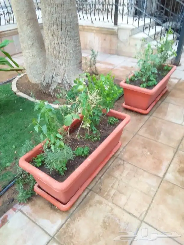 تنسيق حدائق 5