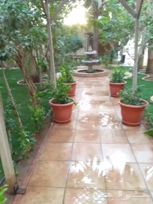 تنسيق حدائق 1